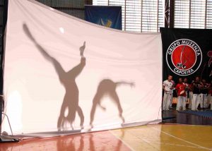 Festival Pedagógico de Capoeira 2011