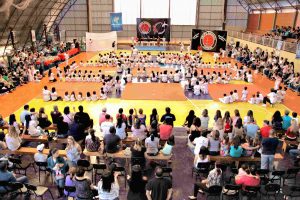 Festival Pedagógico de Capoeira 2011